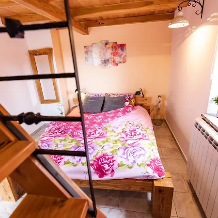 Prázdninový dům Rašpor Raspor